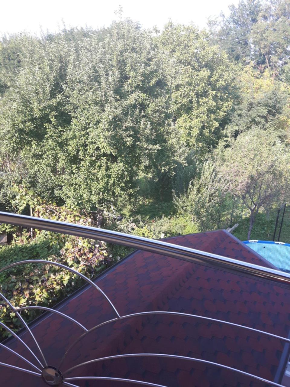 Vila Alexia Hotell Călimăneşti Exteriör bild