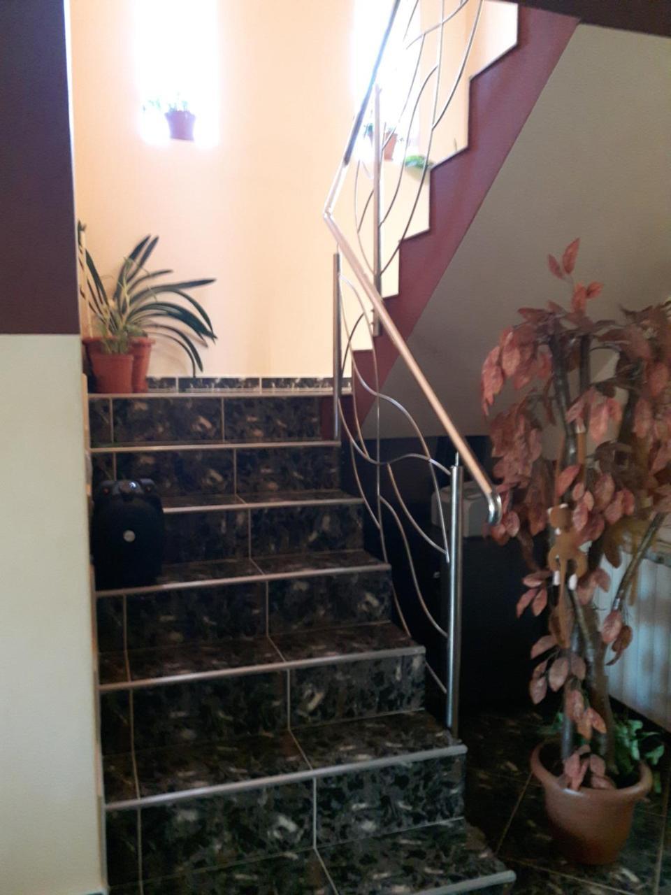 Vila Alexia Hotell Călimăneşti Exteriör bild