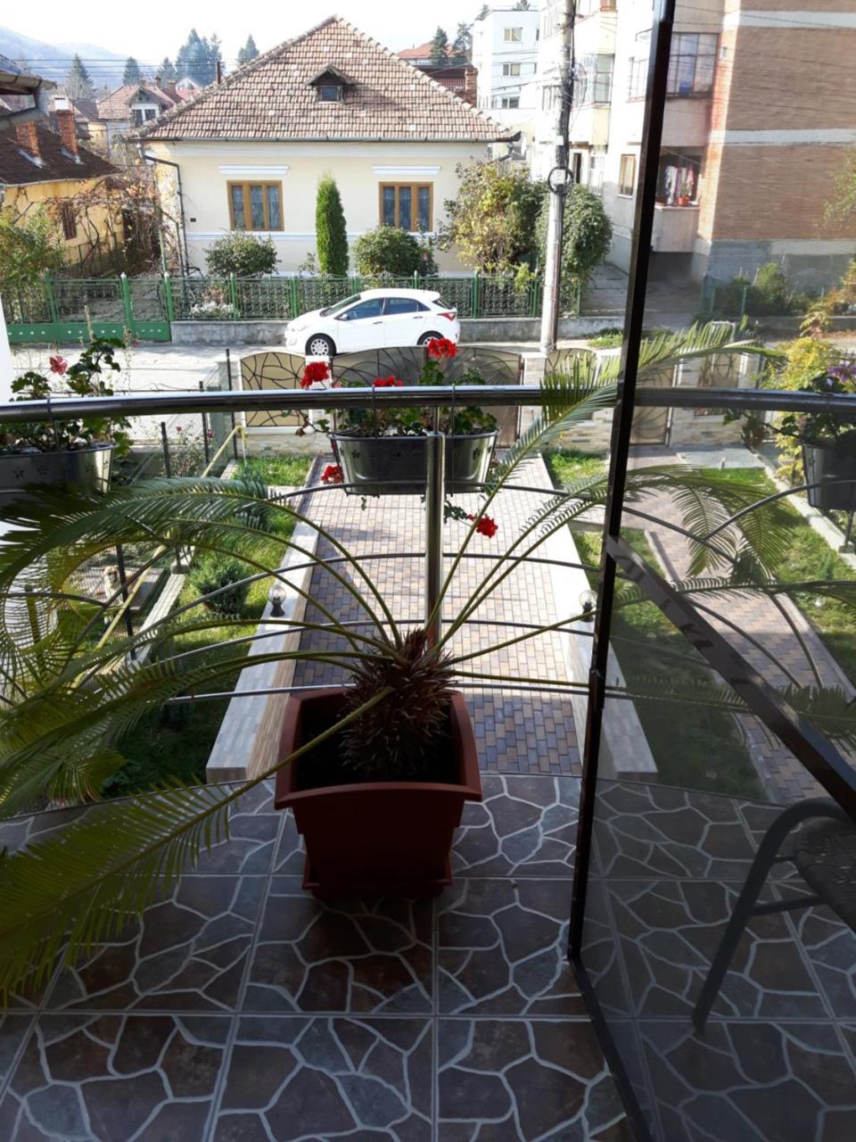 Vila Alexia Hotell Călimăneşti Exteriör bild
