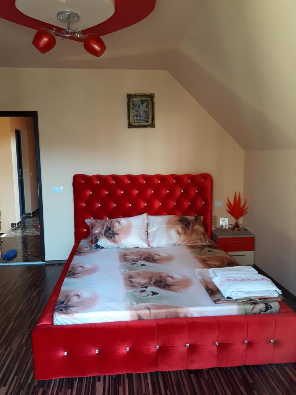 Vila Alexia Hotell Călimăneşti Exteriör bild